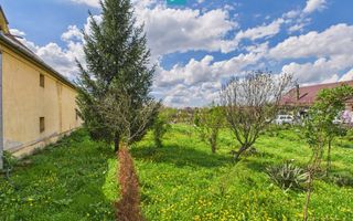 Teren 1300 mp, Beregsău Mare - Poză 5