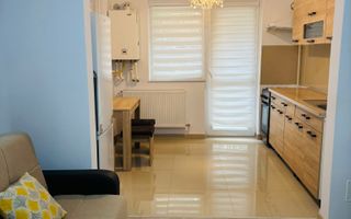 APARTAMENT 2 CAM VALEA LUPULUI ANTIBIOTICE 43 MP MOBILAT UTILAT ETAJ 1 - Poză 4