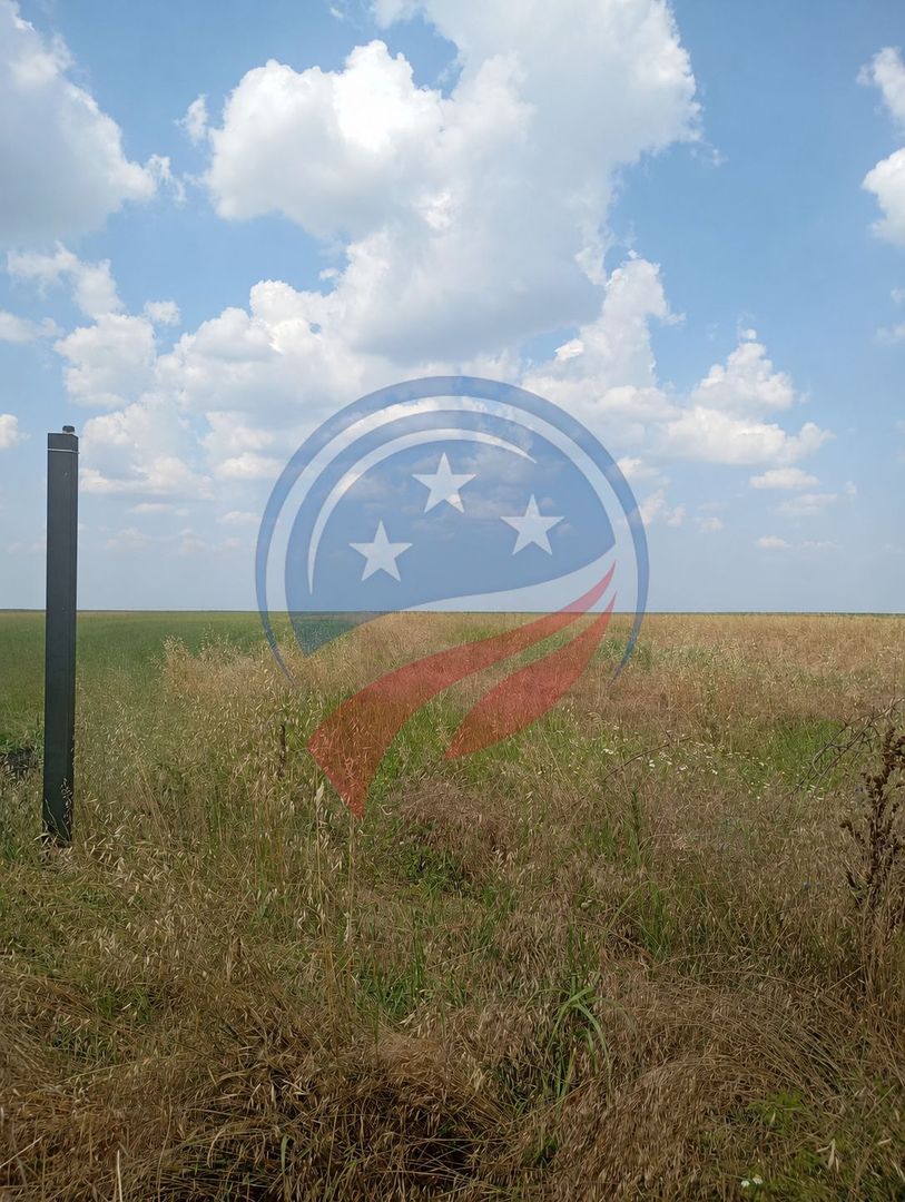 TEREN ALBESTI 1000 mp - Poză 1