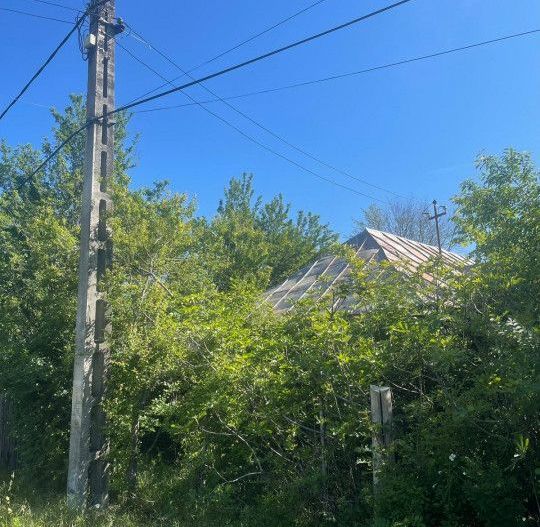 De Vanzare Gospodarie Cerbu - Poză 8