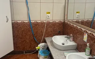 Imobil multifuncțional, 450 mp utili, teren 640 mp, Torontalului - Poză 11