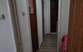 Drumul Taberei - Raul Doamnei - Poză 5