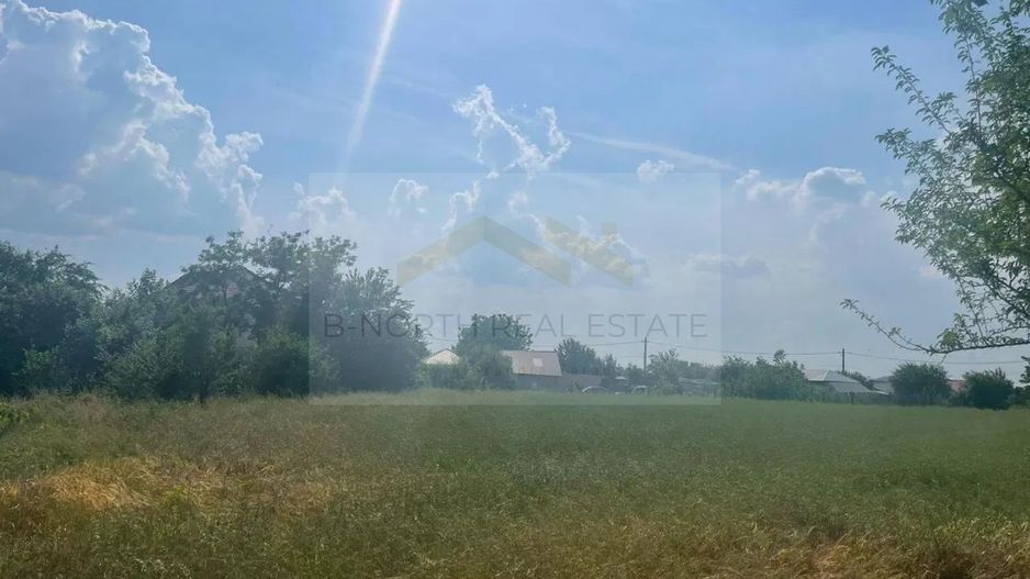 Teren intravilan de vânzare Cernica – Tânganu | 4 loturi x 954 mp | Investiție - Poză 1