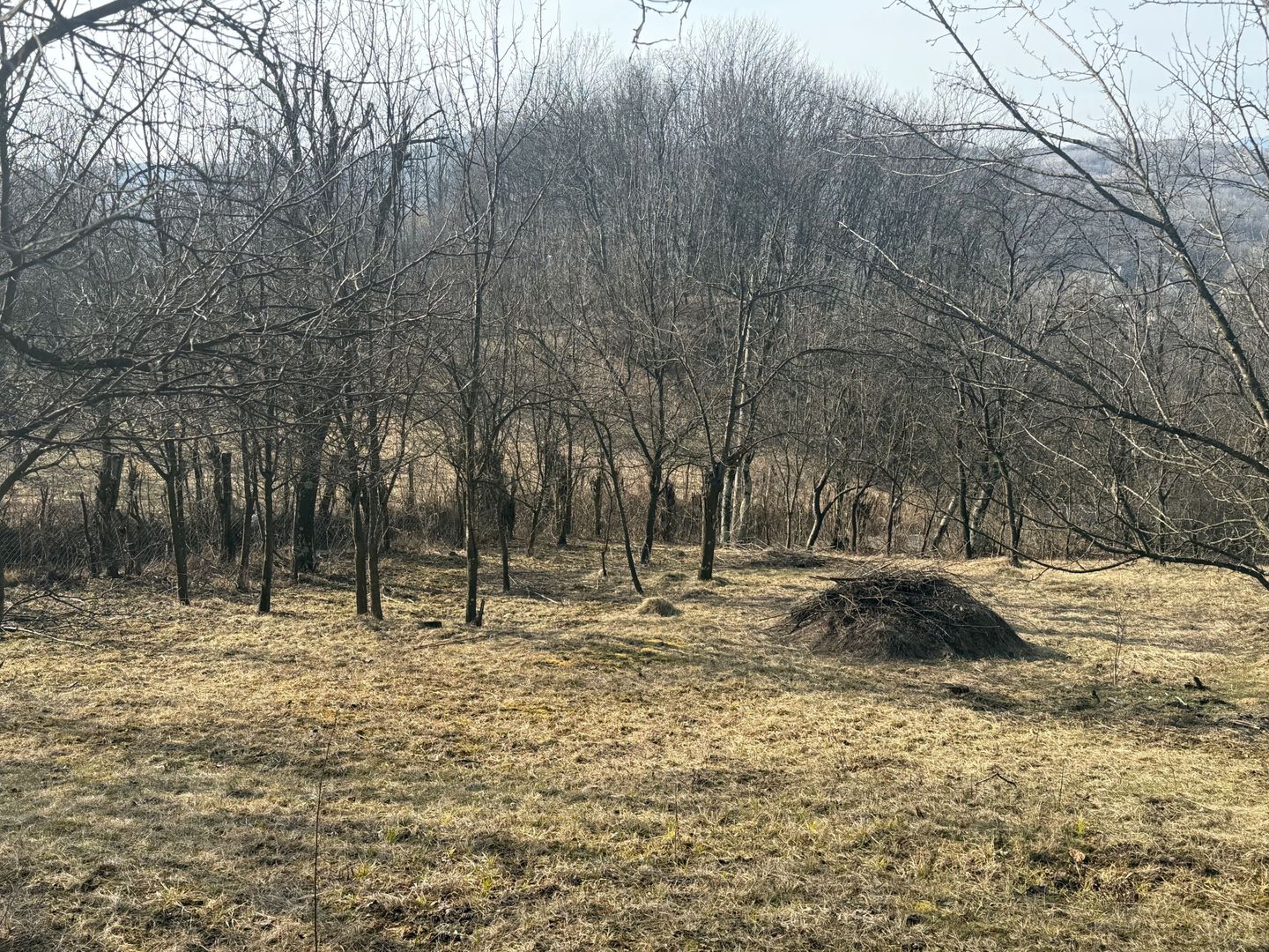 Teren intravilan 2788 mp deschidere 55 ml cu vedere panoramica ! - Poză 4