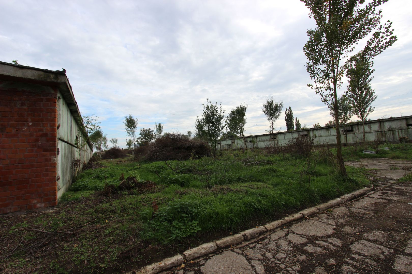 Vanzare hale Mosnita Noua-fosta Ferma 7 - Poză 35