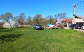 Teren intravilan 2927 mp - com. Domnesti sat Teghes - Poză 3