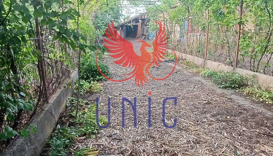 Casa cu teren de 1969 mp - Amarastii de Jos - Poză 8