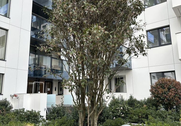 Cortina North || Studio || Amenajat premium - Poză 8