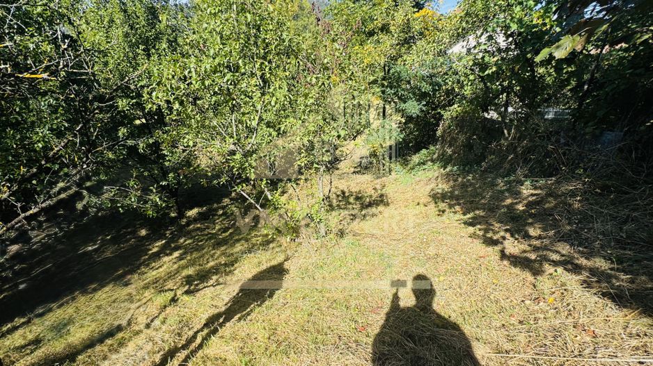 TEREN INTRAVILAN 3234 MP LEREȘTI VOINEȘTI ARGEȘ - Poză 38