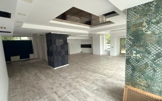 Oportunitate - Spatiu Comercial - Vad - 130-mp - Calea-Bucuresti - Poză 4