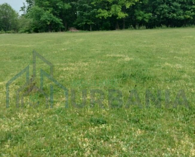 Teren intravilan 7.200 m2, Bordea, Grajduri, ideal case/ investitie - Poză 6