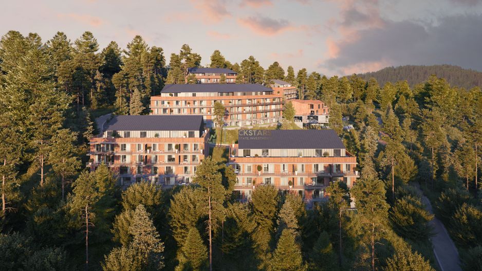 Studio | Terasa 13mp | Poiana Brasov - Poză 5