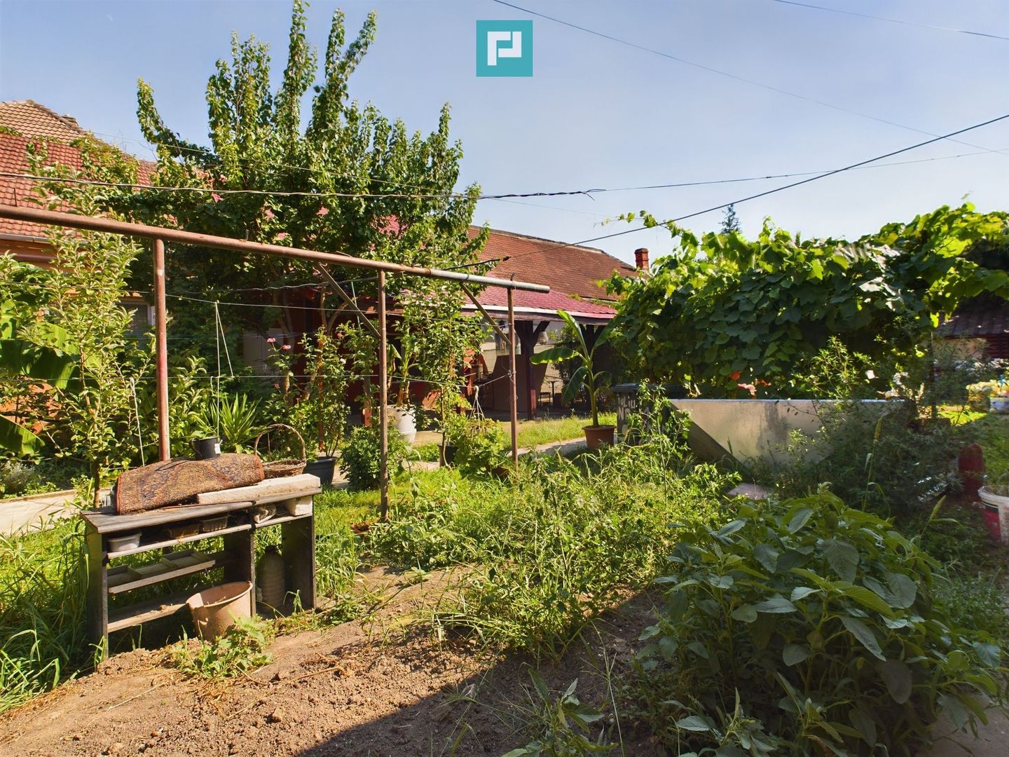 Apartament 2 camere la curte comună - Poză 6