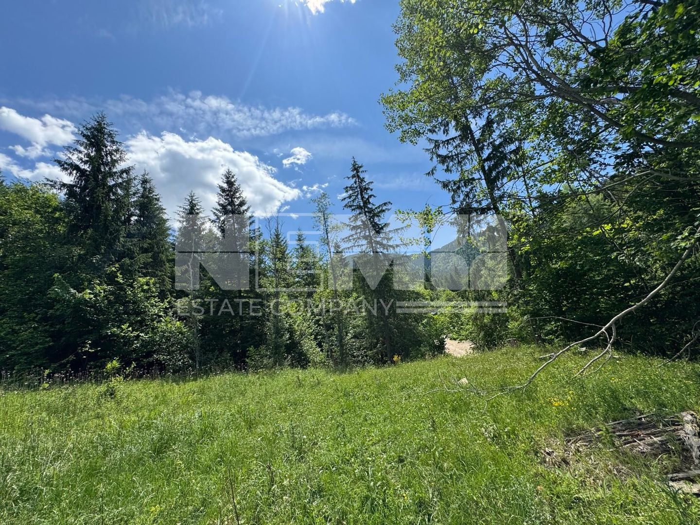 TEREN EXTRAVILAN DE VANZARE | CAMPULUNG MOLDOVENESC | 258.720€ - Poză 6