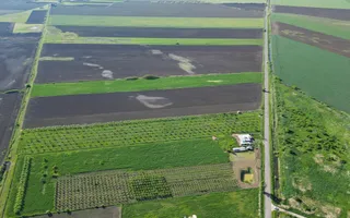 Livadă de nuci și pruni 2.4ha în Variașul Mare - Poză 17