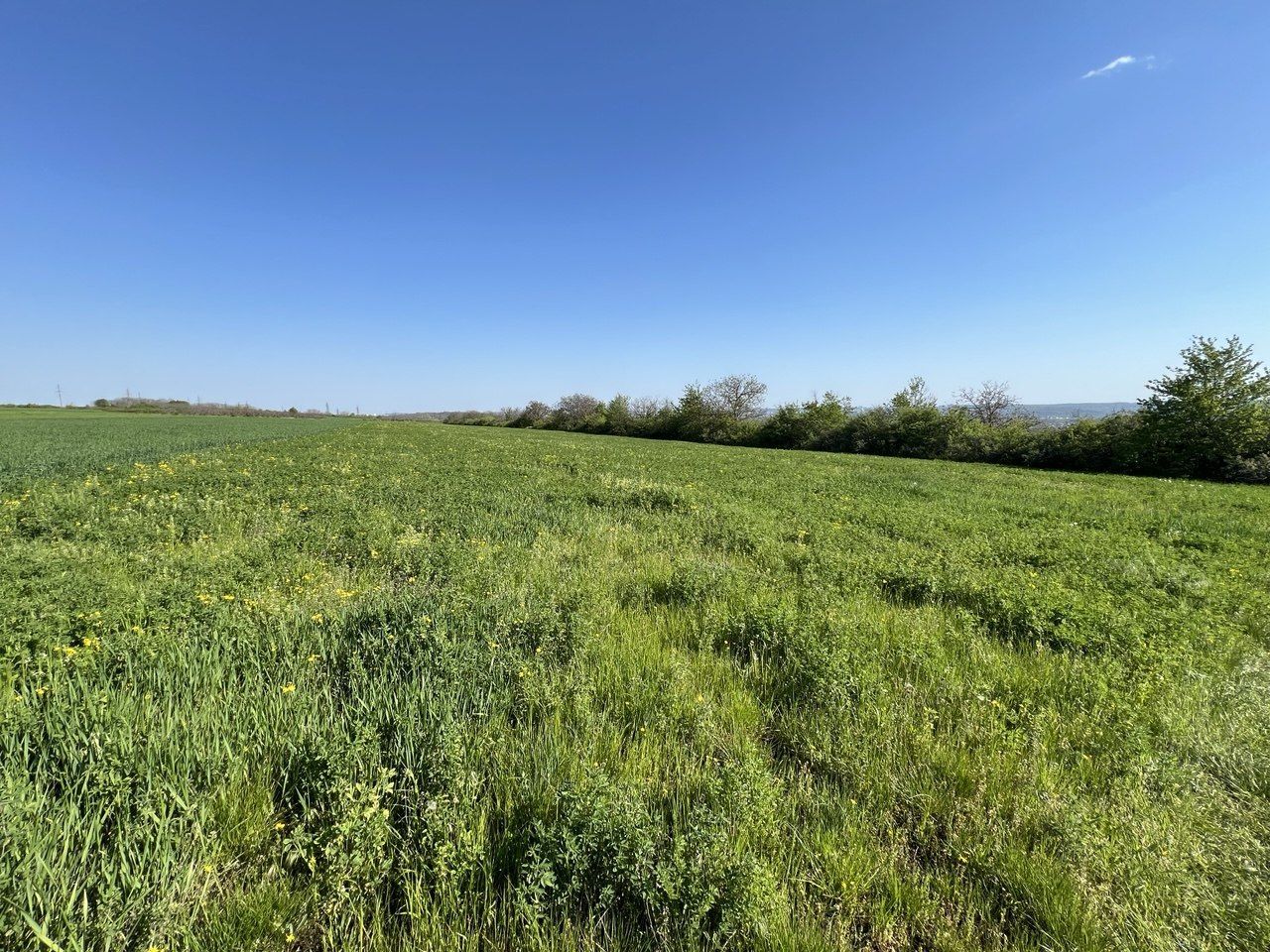 Teren agricol de 40 ari în Ghidighici – oportunitate pentru investiție sau activitate agricolă - Poză 3