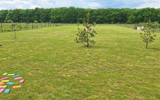 Teren Extravilan | 2.000 MPU | Intabulat | Zonă liniștită - Poză 5