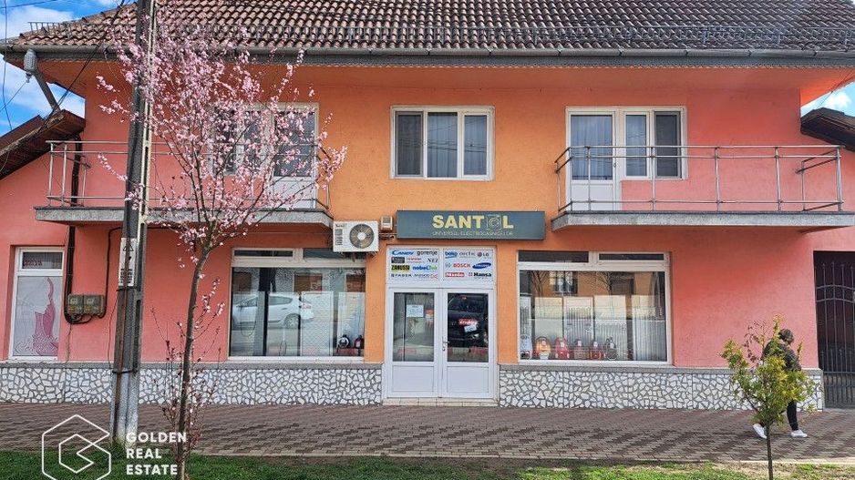 Casa mare cu 2 spatii comerciale, in Faget - Poză 1