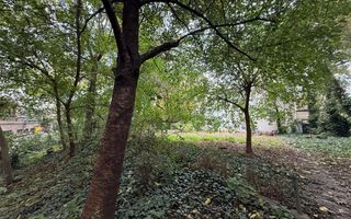 Studio de vanzare - Poză 11