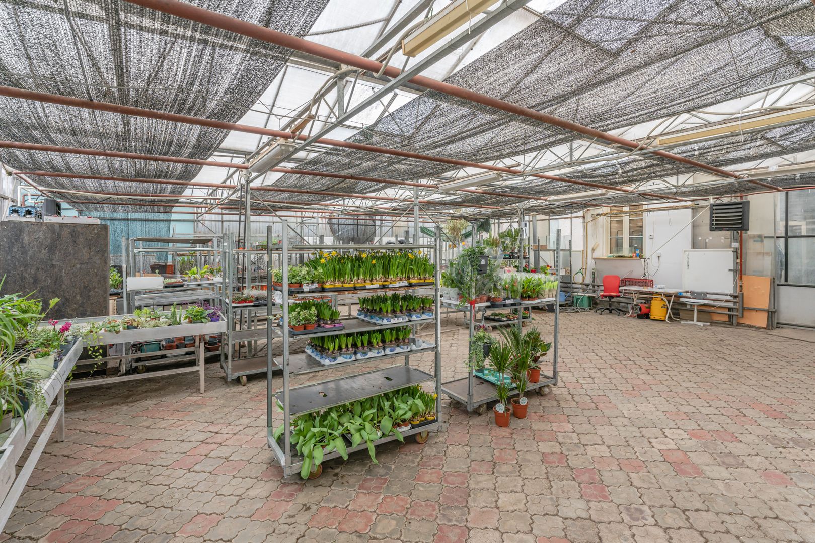 CASA BARTOLOMEU- sediu firma/ comercial/ servicii- zona circulata - Poză 13