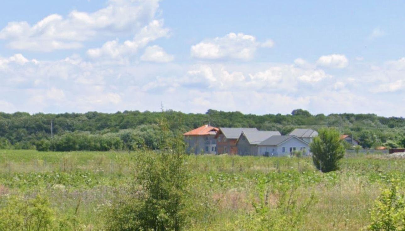 800 mp padurea Snagov Ciofliceni l utilitati la strada - Poză 3