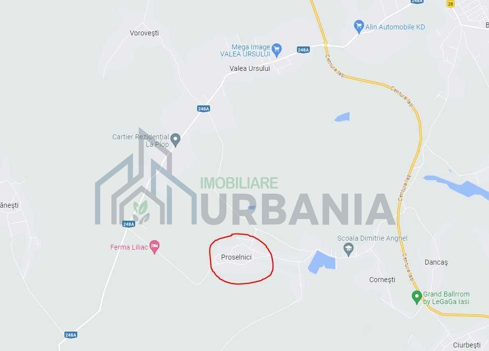 Teren intravilan de vanzare in Miroslava, sat Proselnici – 7.000 mp - Poză 7