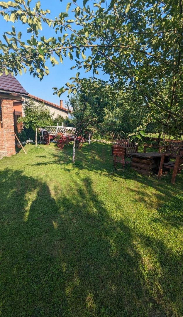 CASĂ\VILĂ DE VÂNZARE \COM. OBREJA\SAT IAZ\CARAȘ-SEVERIN - Poză 12