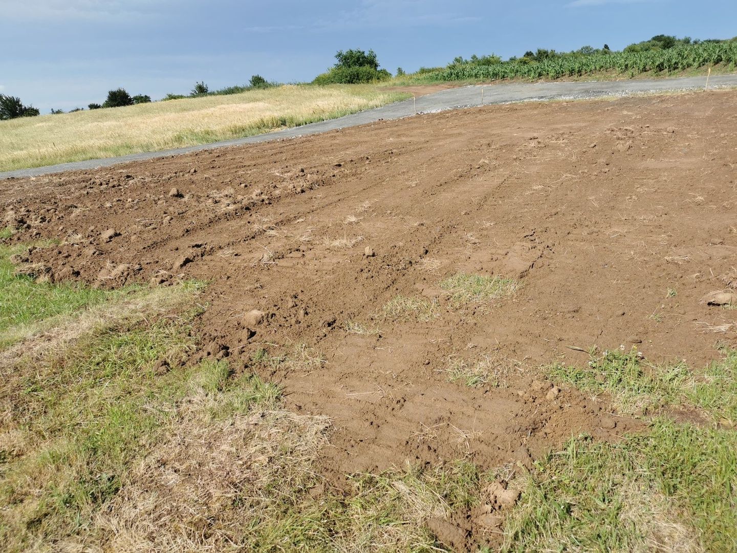 Giroc-Padure | 500 mp | 2 F.S. - Poză 7