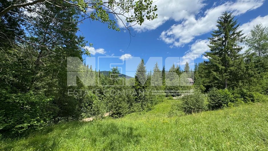 TEREN EXTRAVILAN DE VANZARE | CAMPULUNG MOLDOVENESC | 258.720€ - Poză 2