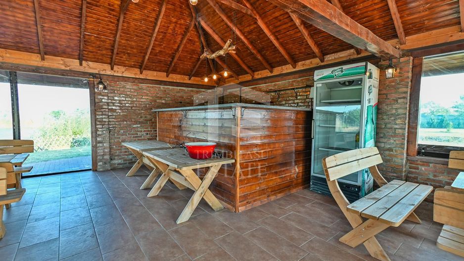 Sala de evenimente cu  piscina si foisor Biled COMISION 0 % CUMPARATOR - Poză 19