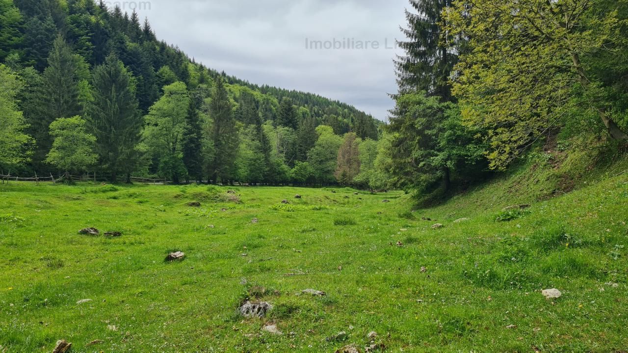 13005 mp teren faneata in Bran Simon cu fornt de 57 mp - Poză 10