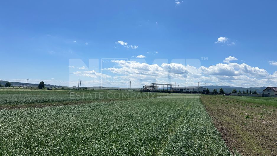 Teren intravilan 27 ari | Horodnic de Sus | Front stradal 13 m - Poză 10