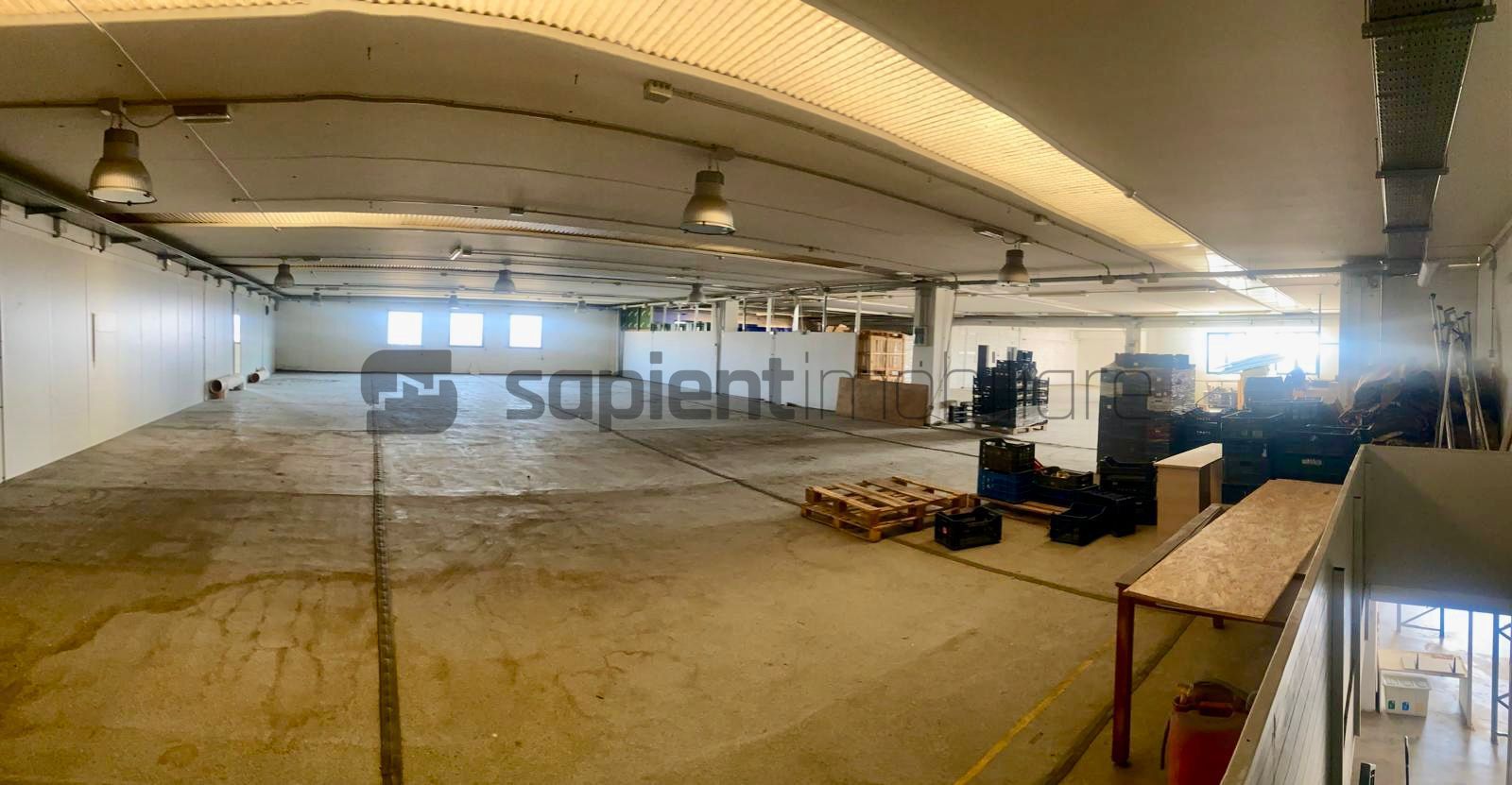 Sapient | Hală situata în com. Borș - Poză 8