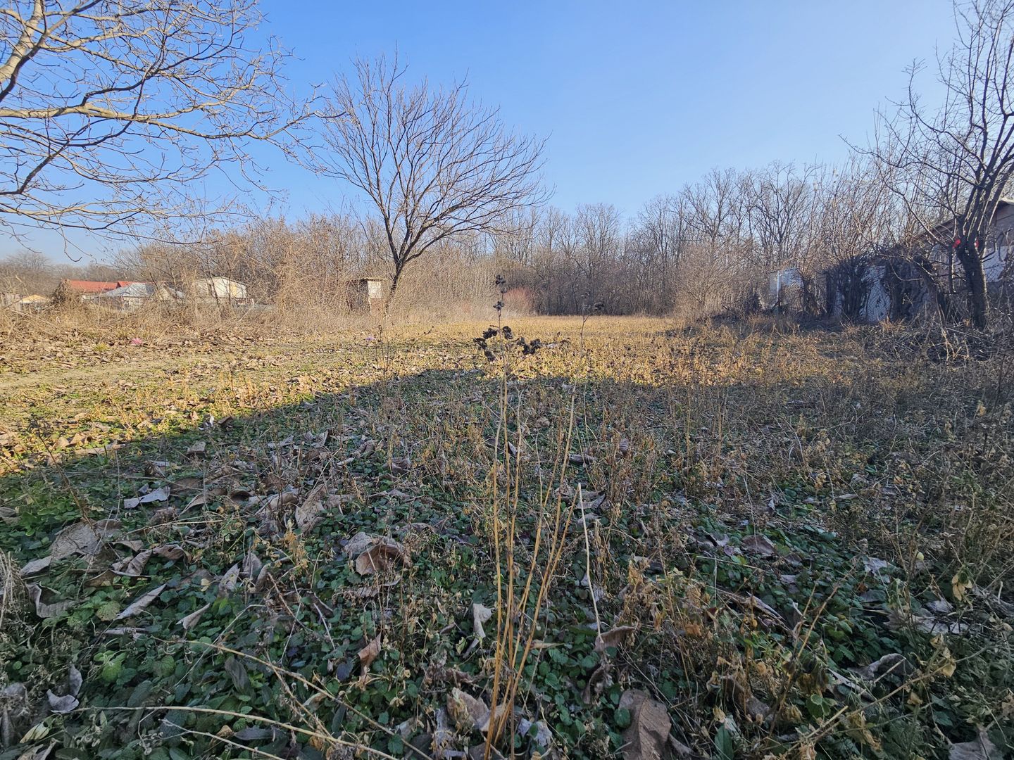 Oportunitate casa demolabila cu teren 1600m Padure Draganesti - Poză 11