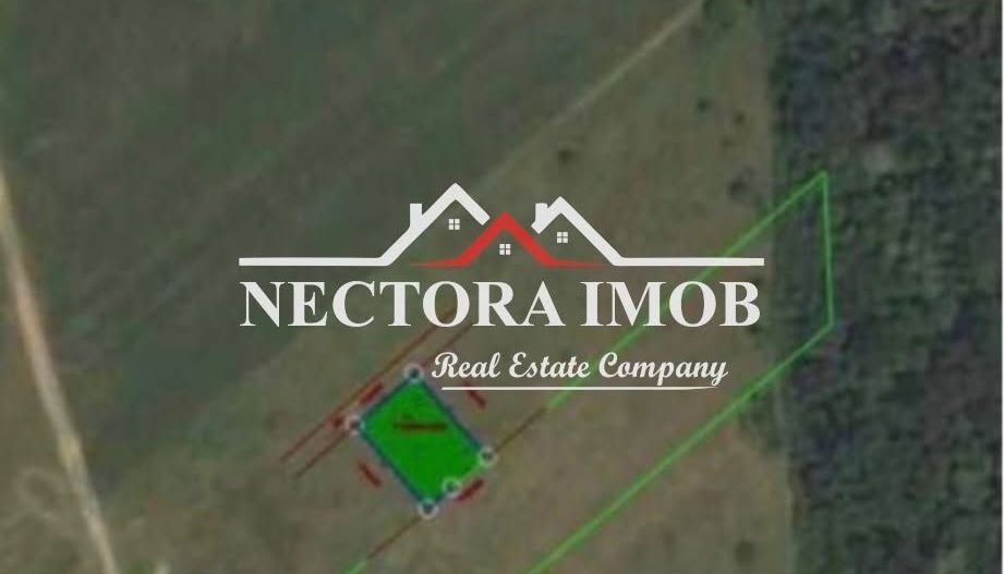 NECTORA IMOB-Teren Intravilan 667 mp, Beverly Hills-Padure Baile Felix - Poză 8