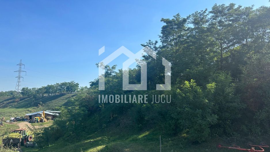 Teren Intravilan 2900mp PUZ in Lucru - Jucu de Sus - Poză 4