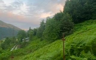 Teren 10.900mp | Panoramă în Apuseni | Remeți -Ideal pentru Investitii - Poză 9