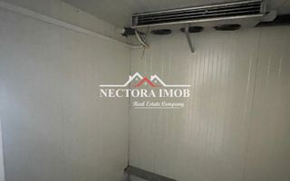 NECTORA IMOB-Hala industriala 250 mp, Sanmartin, Camera Frig,Sanmartin - Poză 4