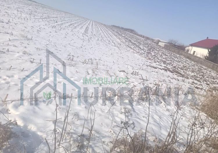 Teren intravilan și extravilan de 10.000 mp în Voinesti, Iași - Poză 7