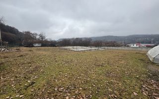 TEREN INTRAVILAN 2200 MP CAMPULUNG ARGES - Poză 43