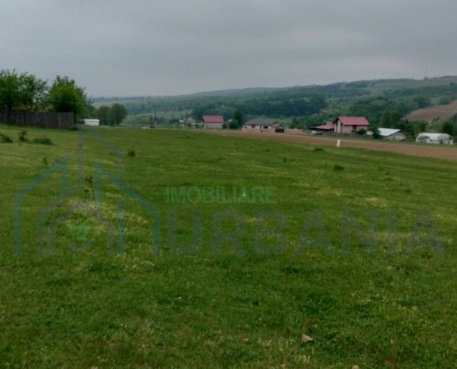 Teren intravilan 7.200 m2, Bordea, Grajduri, ideal case/ investitie - Poză 4