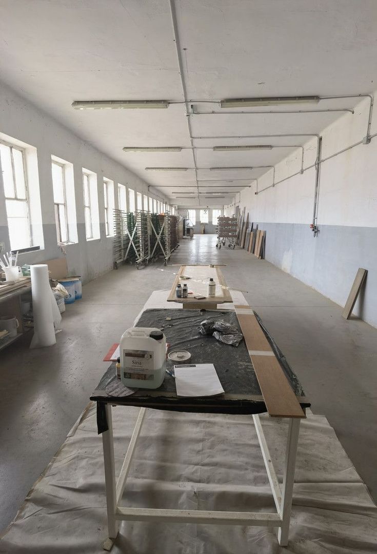 Proprietate industriala la 30 km exterior sud Timisoara - Poză 35