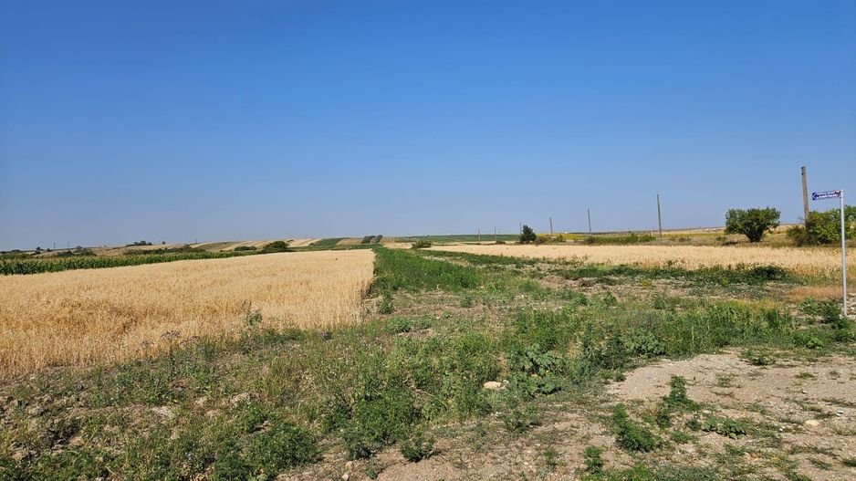 Vând teren intravilan în Bradu - 500 mp - Poză 6