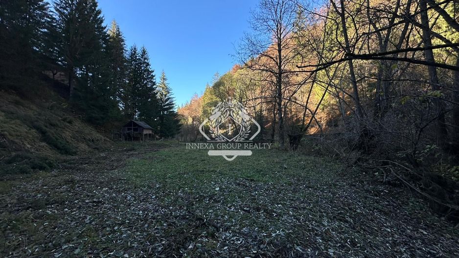 Teren 2.882 mp – oportunitate investitie - Cheile Dâmbovicioarei - Poză 5