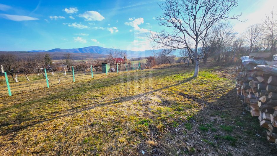 Teren intravilan 1079 Zona Tropinii noi - Poză 3