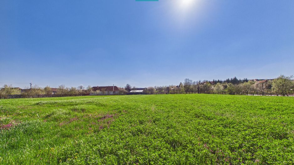 Teren intravilan 3024 mp, în comuna Almaș, Arad - Poză 5