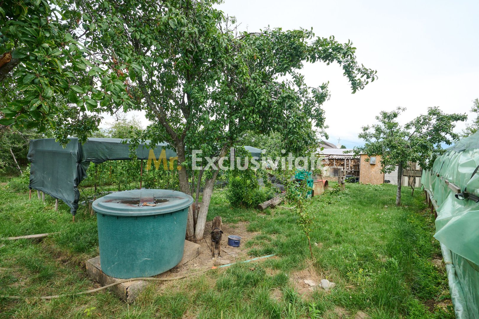 Casă cu teren generos – Vedea-Arges - Poză 35