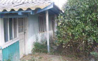 Casa cu teren intravilan, Prisacani, Iasi - Poză 1
