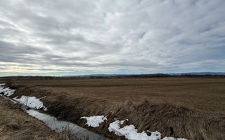 Teren extravilan | Rădăuți – zona Jalcău | 3.900 mp | 41 m front - Poză 4