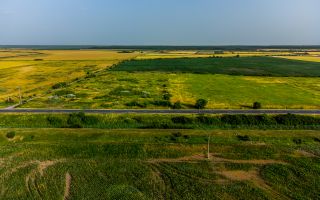 Teren pentru investiție DN7 - Poză 2